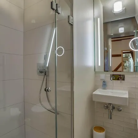 Hotel Boutique Grüner Zweig 4*