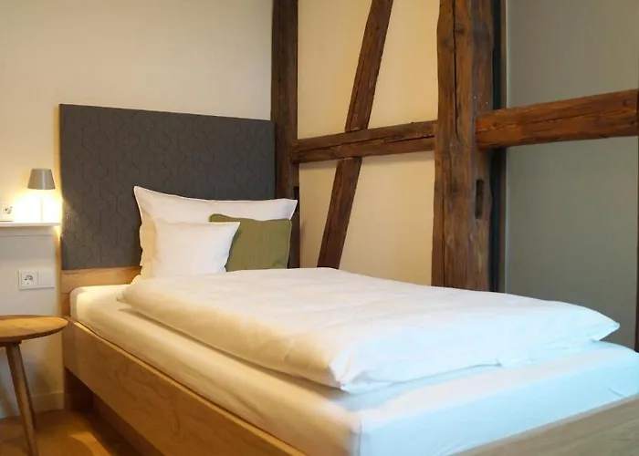 فندق Boutique Gruener Zweig Schlettau